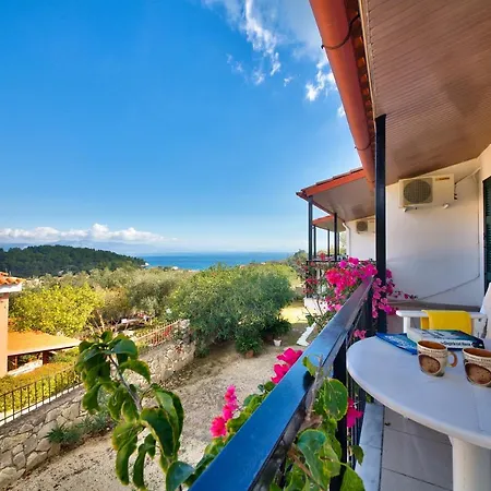 Theodora - Paxos * Gaios
