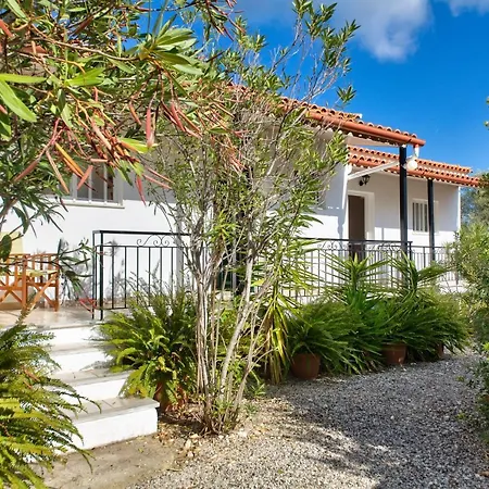 Apartman Theodora - Paxos